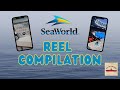 SeaWorld Orlando Reels Compilation