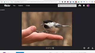 How to Create a Bingo Board Through Google Sheets