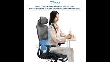 Ghế Xoay Văn Phòng Công Thái Học Ergonomic Có Ngả Lưng TANNI Premium Pro 1 Nhập Khẩu