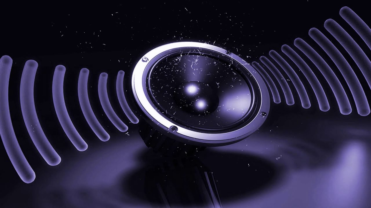 Raus mit die Viecher (DJ Salle Remix 2020)