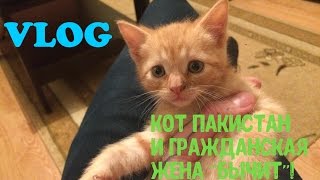 VLOG | Котик Пакистан | Гражданская жена VLOG | Котик Пакистан | Гражданская жена