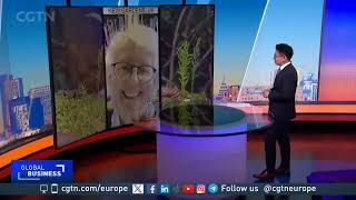 A very small fern plant breaks record for the biggest DNA by CGTN Europe 189 views 3 days ago 3 minutes, 10 seconds