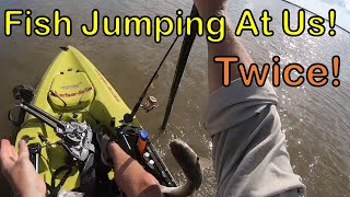 Season 1 Episode 18 - Fish Attack! Dad & Daughter Kayak Adventure +Shoutout to Longtime Army Friend!