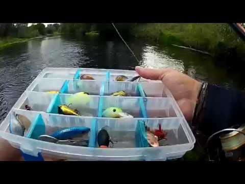 Рыбалка на реке Дон осенью