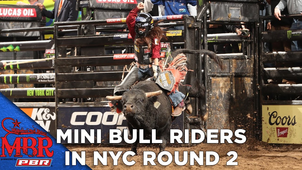 Full Round Round 2 Of Mini Bull Riders In Madison Square Garden