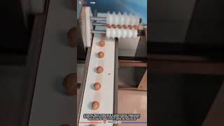 Innovation Automatic Meatball Forming Machine for Faster and Efficient Food Production #tech