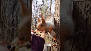 Встретились На Нашем Месте