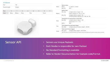 RUCKUS IoT: LoRa LNS-API Interface from an Application Level