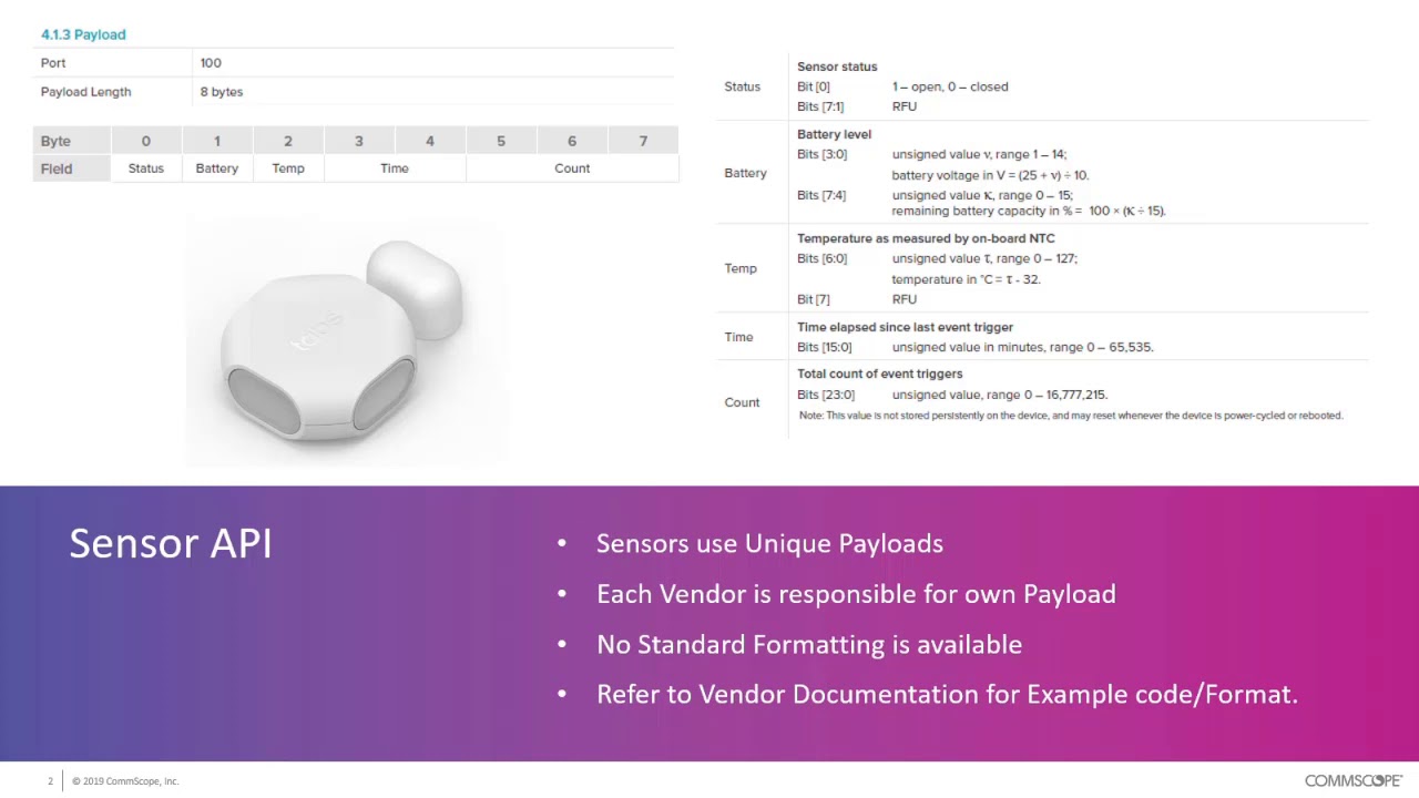 RUCKUS IoT: LoRa LNS-API Interface from an Application Level