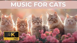 🔴 24\/7 LIVE: Cat TV for Cats to Watch 😺 Cute Birds Squirrels Eat Flowers 4K