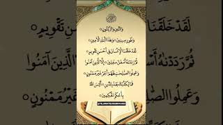 Let's Listen and Learn Surah At-Teen with Finger Tracking☝️#surahattin #quran #quranrecitation
