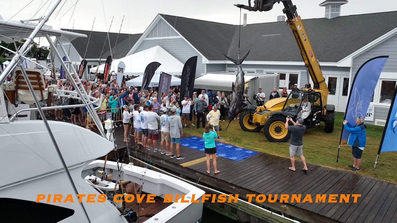Pirate's Cove Billfish Tournament | Outer Banks, NC (2025)