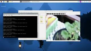 My Plant Can Talk! (Building an AI Plant Guardian with Raspberry Pi)