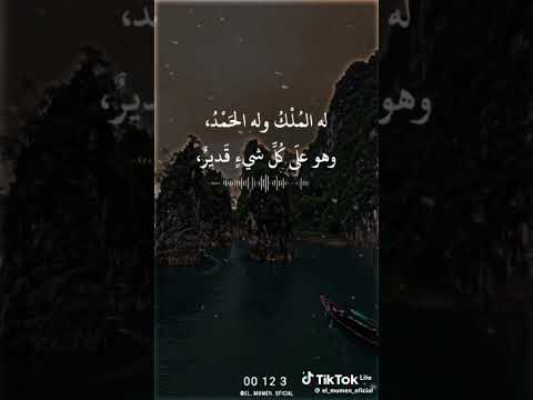 19 فبراير 2024