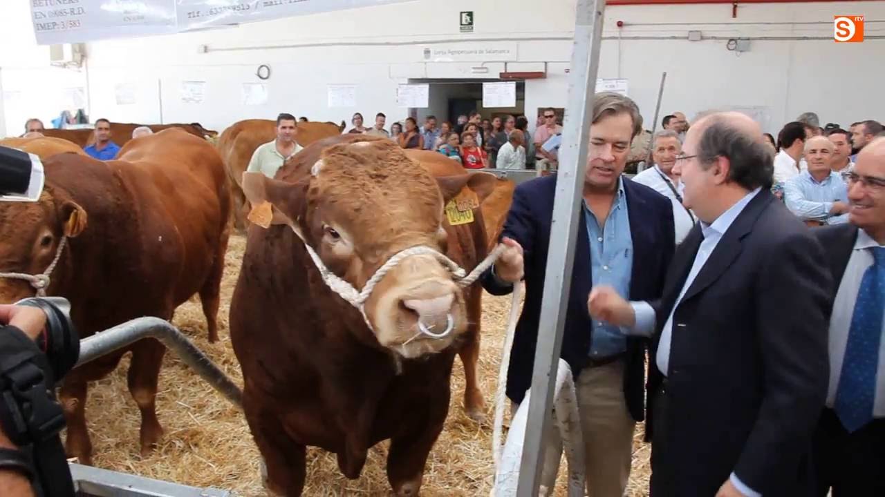 Inauguración Salamaq'16