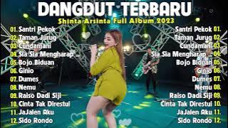 Dangdut Koplo Terbaru 2023💕 Lagu  koplo Terbaru 2023💕 Shinta Arsinta 💕Santri Pekok💕 FULL ALBUM  2023