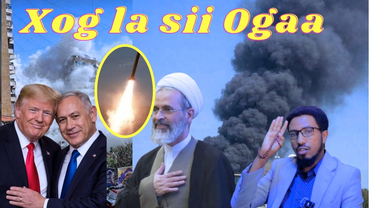 Qasaaraha ka dhashay Dagaalka & Khatarta sii Kordhaysa Safaaradaha La xidhay 