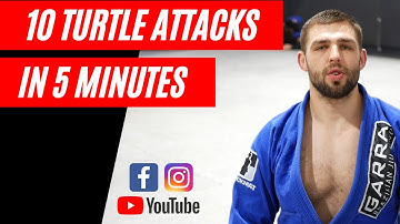 10 TURTLE ATTACKS IN 5 MINUTES