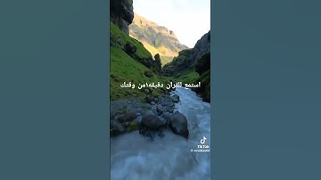 سورة المؤمنين .صوت الشيخ ياسر الدوسري