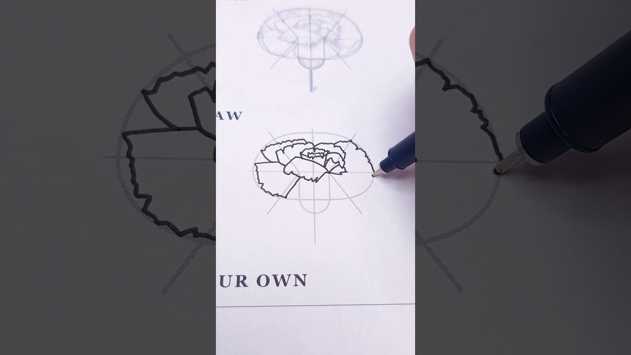 When drawing a Carnation make sure it's frilly ✨🥰