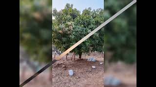 Affordable NA plot with upcoming wellness resort at pen   soft corner 9223592186 screenshot 3