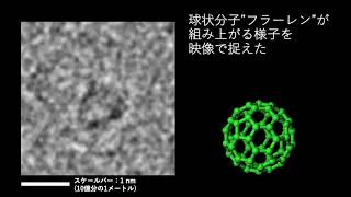 フラーレンの球状構造が組み上がる様子を映像で捉えることに成功しま
