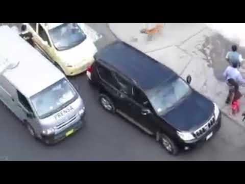 ნამდვილი საშინელება. მებრძოლი ჯიშის ძაღლების ჩხუბი