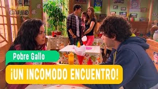 Pobre Gallo - Andrea and Borja Episode 96