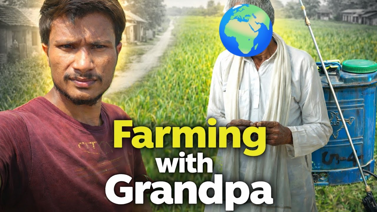 Dada Ji Ke Saath Kheti | Real Village Farming Day