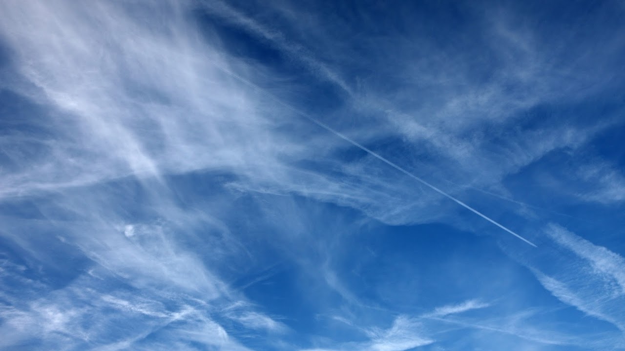 Win-Win Zoom 71 - Кратный рост социальных проектов - Спикер: Виктория Чернецова, трекер