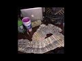 [FREE] PLUG Type Beat Brocasito x Rudies Flacko x  MNZR - "california" @prod.slimeon