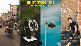 Moody Warm Light Preset | Lightroom mobile Preset Free DNG | moody preset | lightroom presets screenshot 3