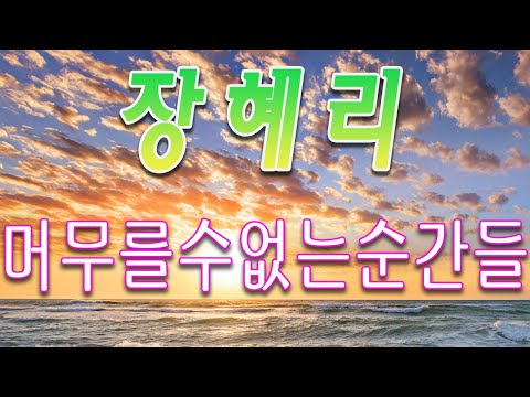 머무를 수 없는 순간들 -  장혜리