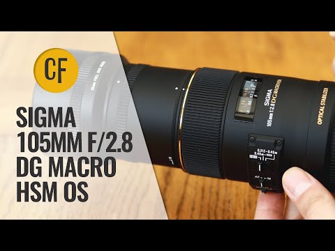 Sigma 105mm F/2.8 DG Macro HSM OS Lens Review With Samples (Full-frame U0026 APS-C)