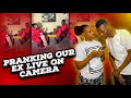 PRANKING OUR EXES LIVE ON CAMERA Dappaman Z6q ScholahMeeme