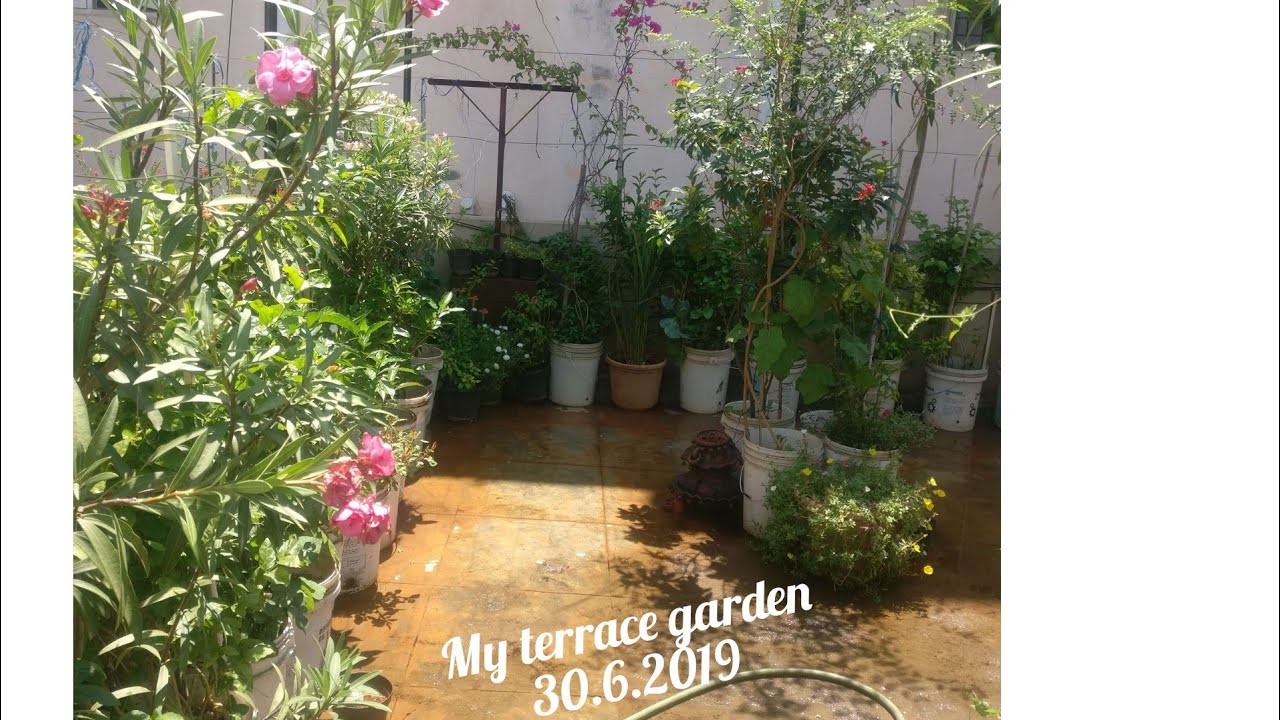 How to set up Organic Terrace Garden - 30.6.2019 - YouTube