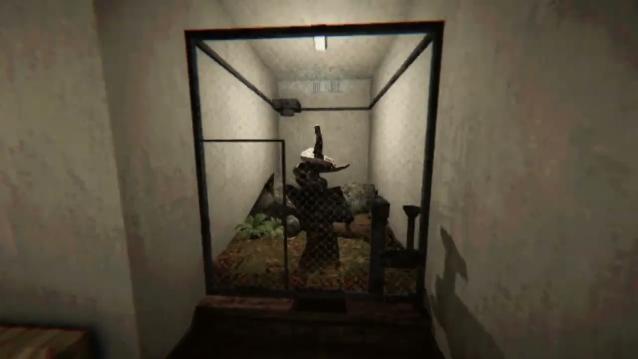 Мой домашний паук больше не 