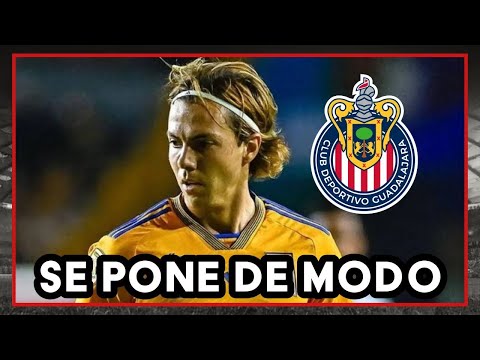 Vista previa del video de YouTube