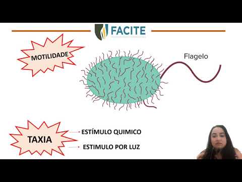 Vídeo: Quais apêndices) fornecem motilidade?