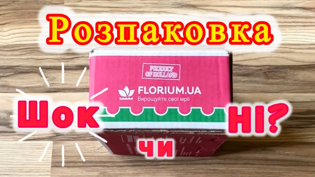 Перше замовлення на сайті 