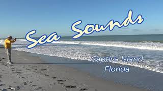 Sea Sounds - Captiva Island Florida