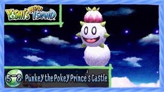 Yoshis New Island  World 58 Punkey The Pokey Princes Castle All Red Coinsflowers 100