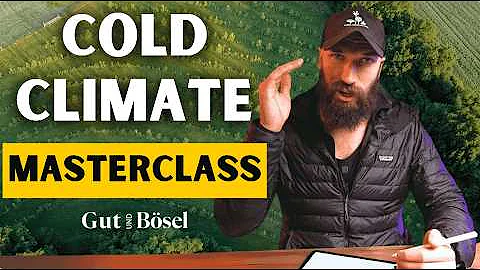 The Secrets Behind Europe's LARGEST SYNTROPIC Farm