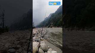 Fishing Blogg 🎣😱 #fishing #dailyfishing #dailyblogg #fishinglife #shortsvideo #youtubeshorts