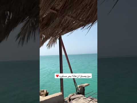 شاطي مستورة البحر الاحمر