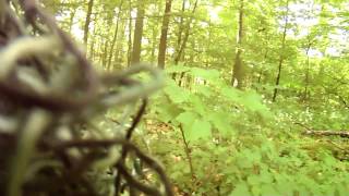 HHF 07062015 #1