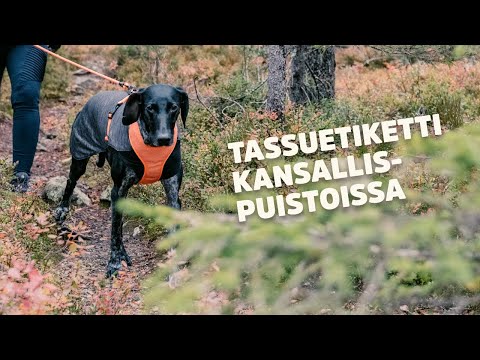 Video: Desert Survival: 10 vinkkejä hengissä auringon alla