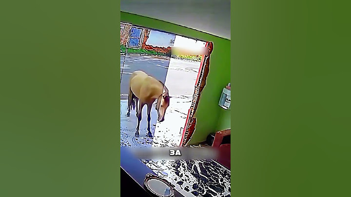 БЕЗУМНАЯ ЛОШАДЬ РАЗНЕСЛА МАГАЗИН 😳🐎
