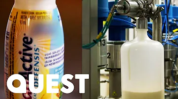 Quali sono gli yogurt anticolesterolo?