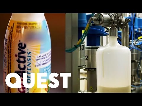 Vídeo: Com Cuinar En Una Fabricant De Iogurt